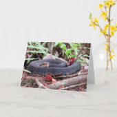 Cottonmouth Snake Wenskaart Kaart (Gele Bloem)