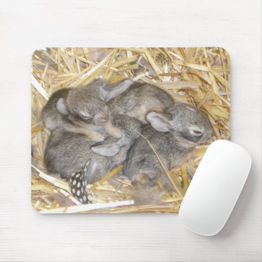 Cottontail Bunnies Muismat (Met muis)