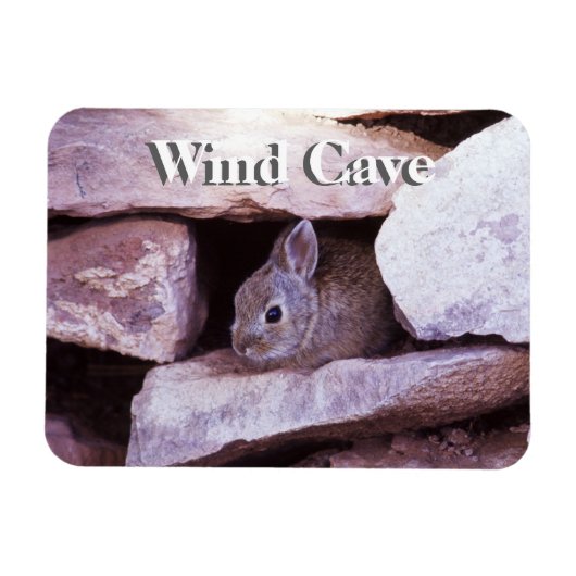 Cottontail Konijn in Rotsen Wind Cave NP Magneet (Horizontaal)