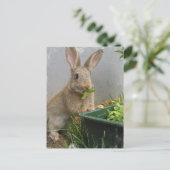 Cottontail Rabbit Briefkaart (Staand voorkant)