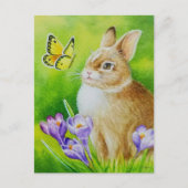 Cottontail Rabbit Butterfly Crocus Waterverf Art Briefkaart (Voorkant)