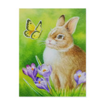 Cottontail Rabbit Butterfly Crocus Waterverf Art