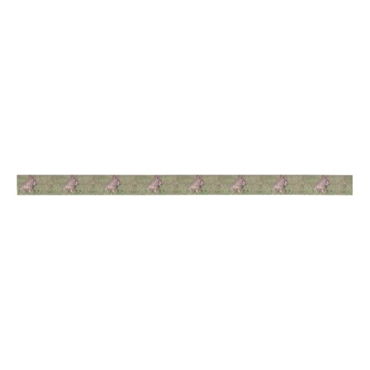 Cottontail Rabbit Grosgrain Lint (Voorkant)