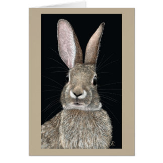 Cottontail Rabbit Kaart