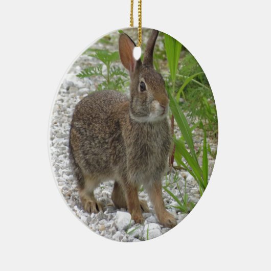Cottontail Rabbit Keramisch Ornament (Rechts)