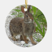 Cottontail Rabbit Keramisch Ornament (Voorkant)