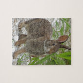 Cottontail Rabbit Legpuzzel (Horizontaal)