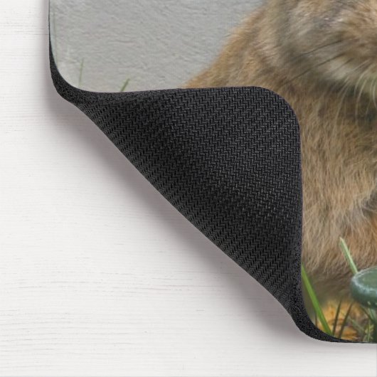 Cottontail Rabbit Muismat (Hoek)