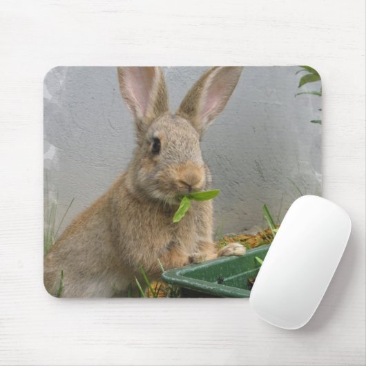 Cottontail Rabbit Muismat (Met muis)