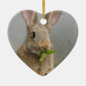 Cottontail Rabbit Ornament (Voorkant)