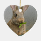 Cottontail Rabbit Ornament (Achterkant)