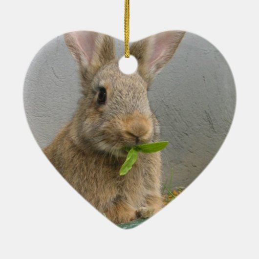 Cottontail Rabbit Ornament (Achterkant)