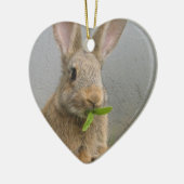 Cottontail Rabbit Ornament (Links)