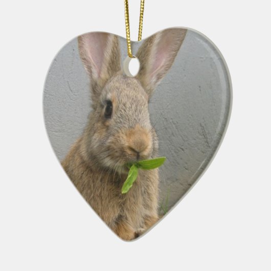 Cottontail Rabbit Ornament (Links)