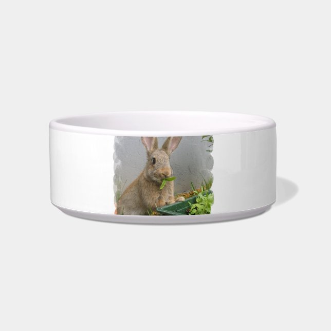 Cottontail Rabbit Pet Bowl Voerbakje (Voorkant)