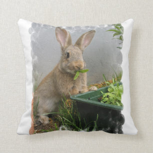 Cottontail Rabbit Pillow Kussen