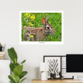 Cottontail Rabbit Print (Thuiskantoor)