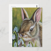 Cottontail Rabbit & Snowdruppels Waterverf Art Briefkaart (Voorkant / Achterkant)