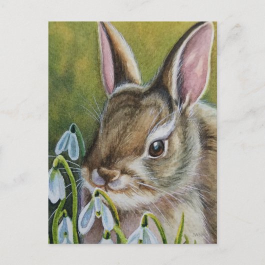 Cottontail Rabbit & Snowdruppels Waterverf Art Briefkaart (Voorkant)