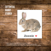 Cottontail Rabbit Sticker
