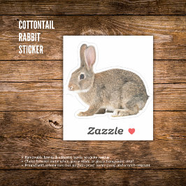 Cottontail Rabbit Sticker