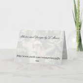 Cottontop Tamarin Wenskaart Kaart (Achterkant)