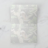 Cottontop Tamarin Wenskaart Kaart (Binnen)