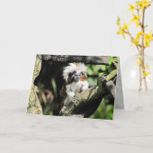 Cottontop Tamarin Wenskaart Kaart (Gele Bloem)