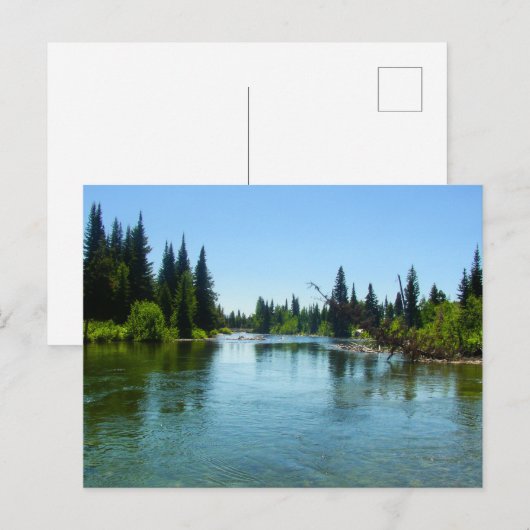 Cottonwood Creek Briefkaart (Voorkant / Achterkant)