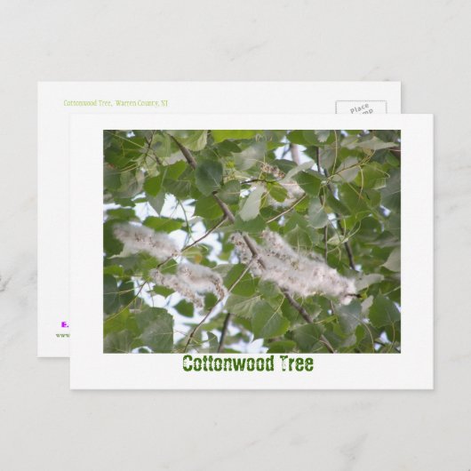 Cottonwood-structuur Briefkaart (Voorkant / Achterkant)