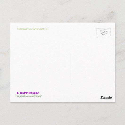 Cottonwood-structuur Briefkaart (Achterkant)