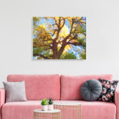 Cottonwood-structuur | Nationaal park Capitol Reef Canvas Afdruk (Insitu (Woonkamer))
