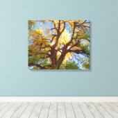 Cottonwood-structuur | Nationaal park Capitol Reef Canvas Afdruk (Insitu (Houten vloer))