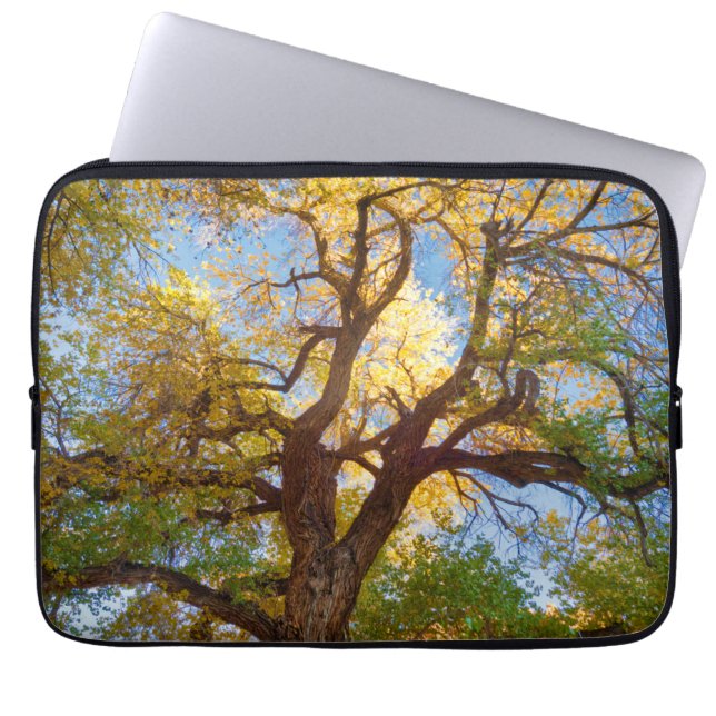Cottonwood-structuur | Nationaal park Capitol Reef Laptop Sleeve (Voorkant)