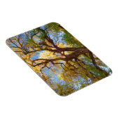 Cottonwood-structuur | Nationaal park Capitol Reef Magneet (Rechterzijde)