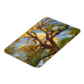 Cottonwood-structuur | Nationaal park Capitol Reef Magneet (Linkerzijde)