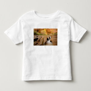 Cottonwoods in de herfst, Coyote Gulch, Glen Kinder Shirts