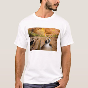 Cottonwoods in de herfst, Coyote Gulch, Glen T-shirt