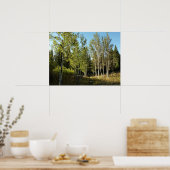 Cottonwoods langs Moose Ponds Trail bij Grand Teto Poster (Keuken)