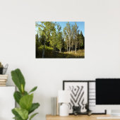 Cottonwoods langs Moose Ponds Trail bij Grand Teto Poster (Thuiskantoor)