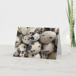 Coturnix Kwartel Ei Kaart
