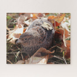 Coturnix Kwartel in de bladeren Legpuzzel