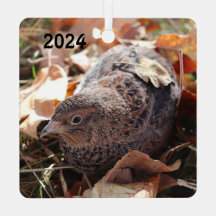 Coturnix Kwartel in de bladeren