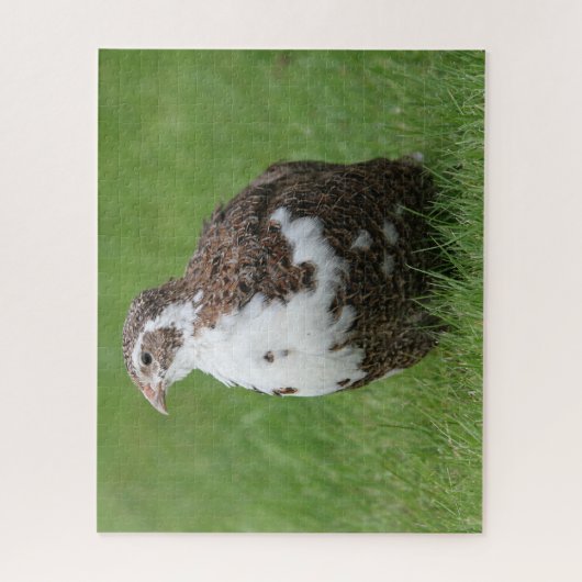 Coturnix Kwartel in het gras Legpuzzel (Verticaal)