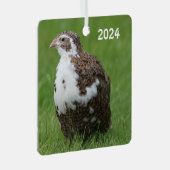 Coturnix Kwartel in het gras Metalen Ornament (Voorkant Rechts)