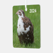 Coturnix Kwartel in het gras Metalen Ornament (Voorkant links)