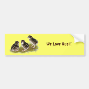 Coturnix Kwartel Kuikens Bumpersticker