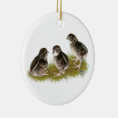Coturnix Kwartel Kuikens Keramisch Ornament (Rechts)