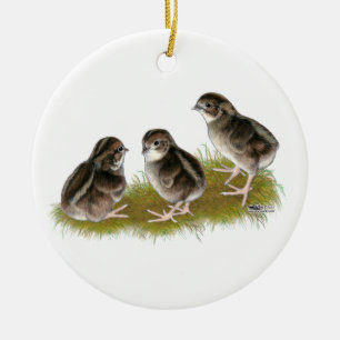 Coturnix Kwartel Kuikens Keramisch Ornament