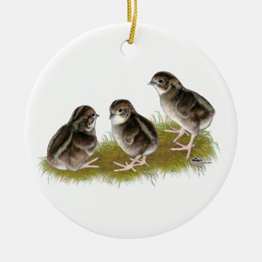 Coturnix Kwartel Kuikens Keramisch Ornament (Voorkant)